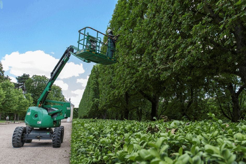 Elagage d'arbres - Serpe.png